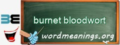 WordMeaning blackboard for burnet bloodwort